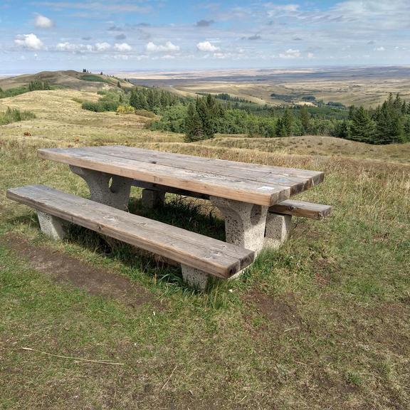 Picnic table at Reesor Viewpoint in Cypress Hills Provincial Park