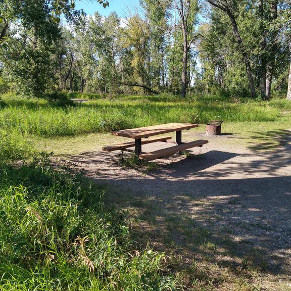 Picnic table and fire pit at Hull's Wood