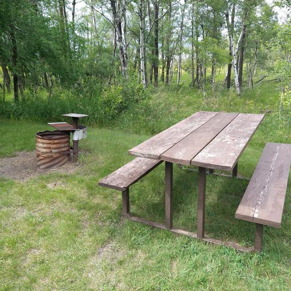 Picnic table and fire pit at Broadview Recreational Site