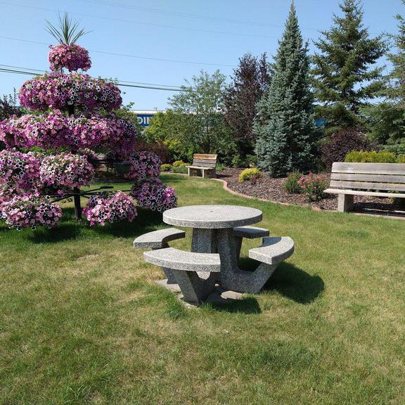 Picnic table at Dr. Georges L Whissell Park
