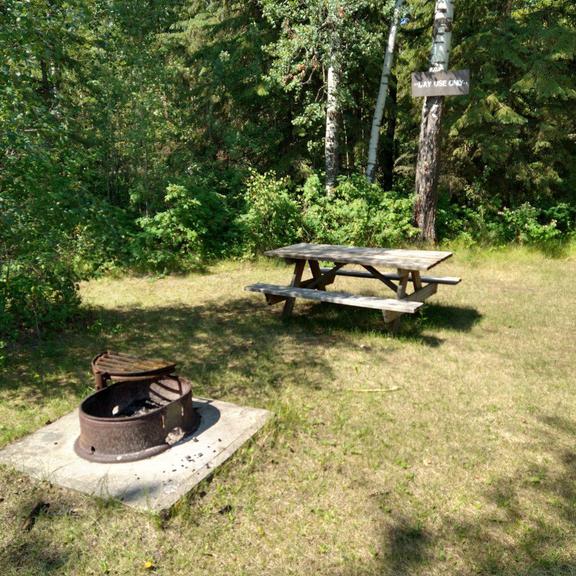 Picnic table and fire pit at Clear Lake Park