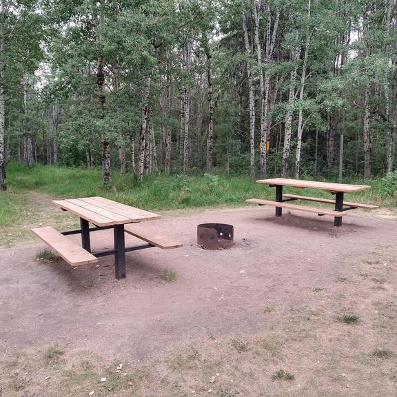 Picnic tables and fire pit at Shannon Terrace