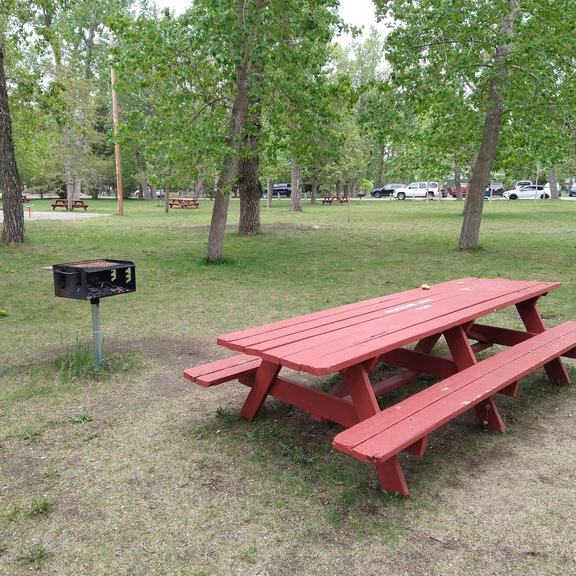 Picnic table and wood grill at George Lane Park