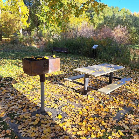 Picnic table and charcoal grill at Confederation Park