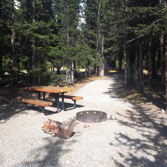 Picnic table and firepit at Tombstone campground