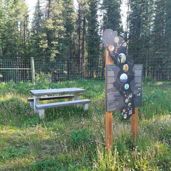 Picnic table at Dolly Varden