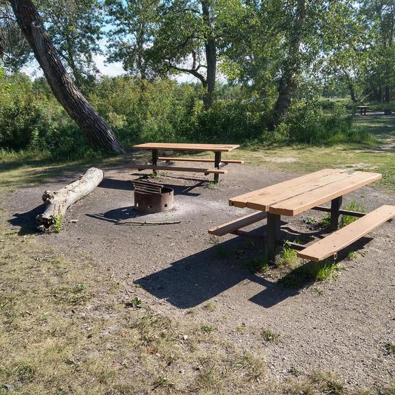 Picnic tables and fire pit at Hull's Wood