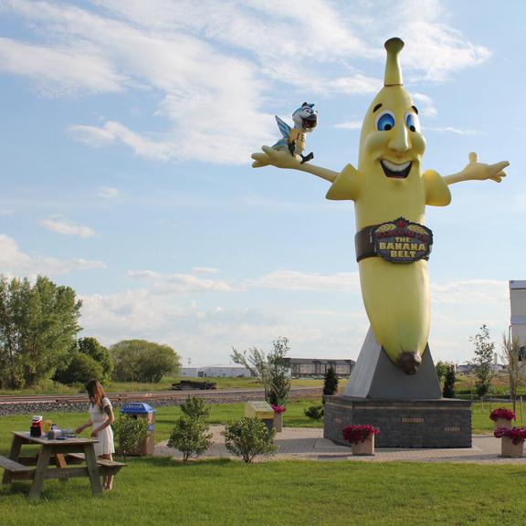 Sunny the Banana and some picnic tables in Melita
