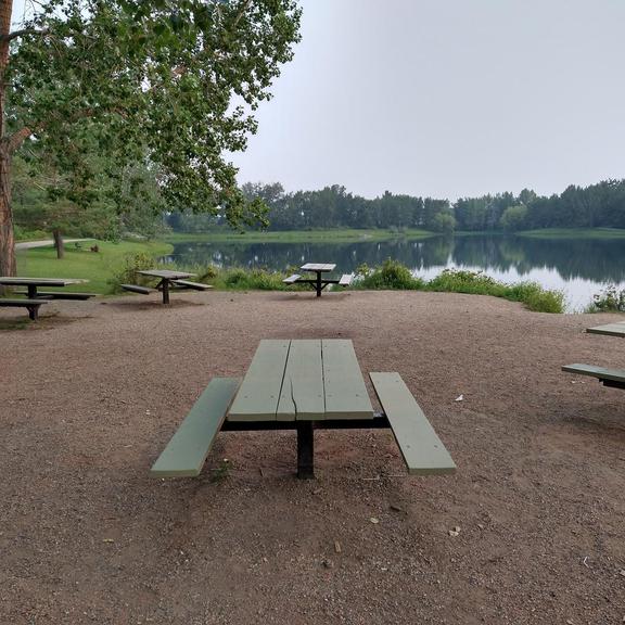 A group of picnic tables at Carburn Park