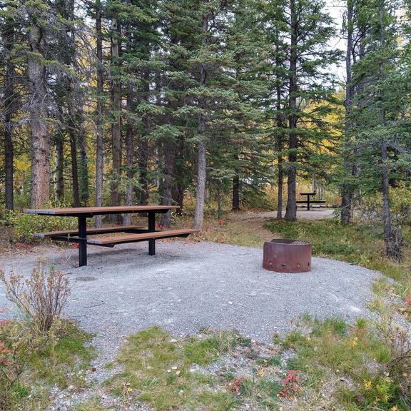 Picnic table and fire pit at Cobble Flats