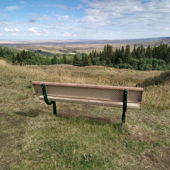 Bench at Reesor Viewpoint in Cypress Hills Provincial Park