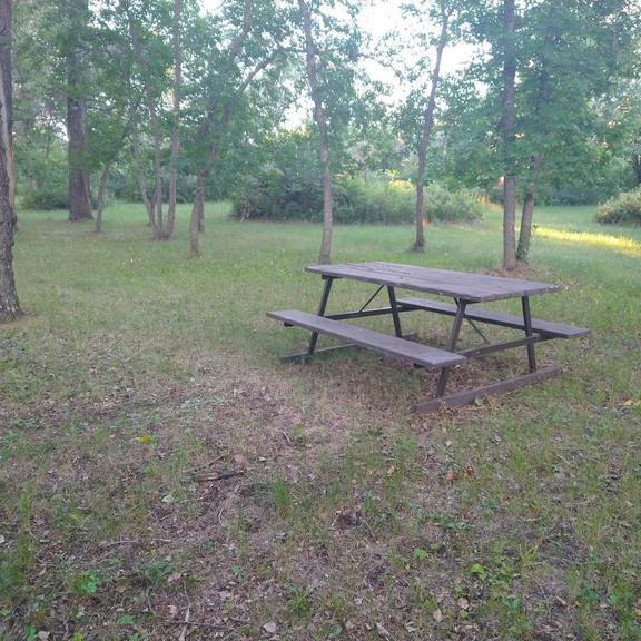 Picnic table at Besant Campground