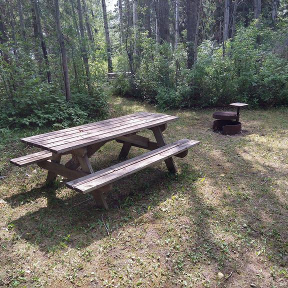 Picnic table and fire pit at Thunder Lake Provincial Park