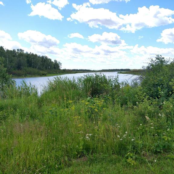 The Whiteshell River