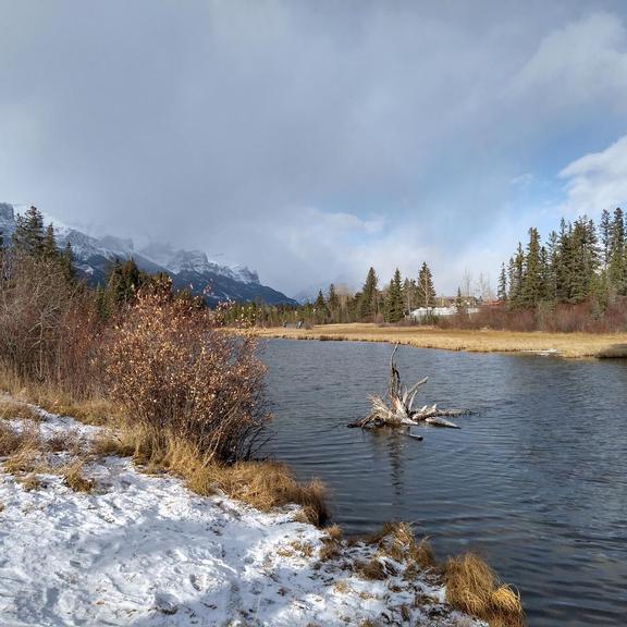 Policeman's Creek in Canmore