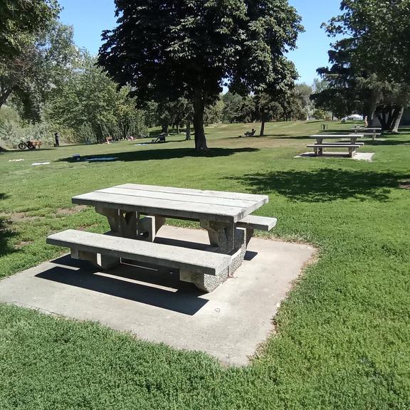 Picnic tables at Pioneer Park