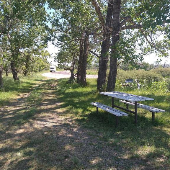 Picnic table at Gull Lake Rest Area