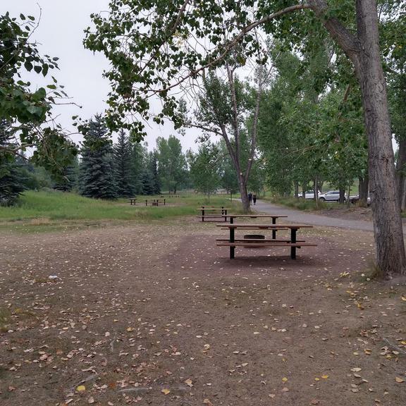 Picnic tables near the parking lot at Shannon Terrace