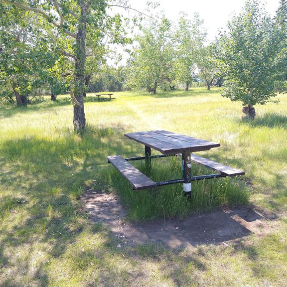 Picnic table at Western Headworks Main Canal
