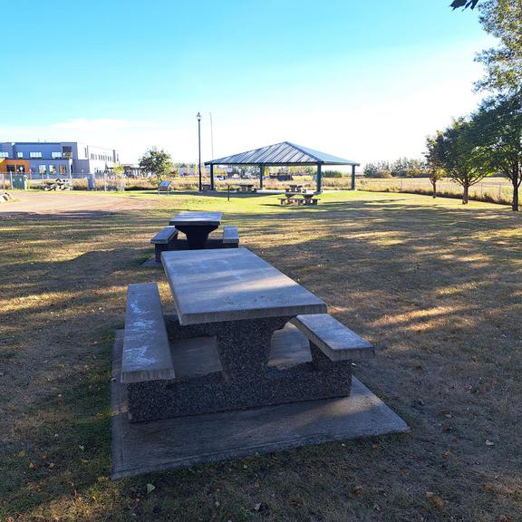 Picnic tables and a picnic shelter at Rotary Centennial Park
