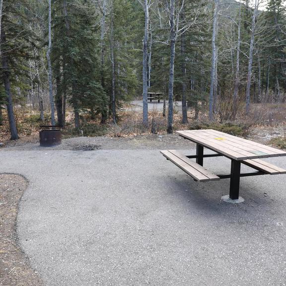 Picnic tables and firepit at Mount Lorette Ponds