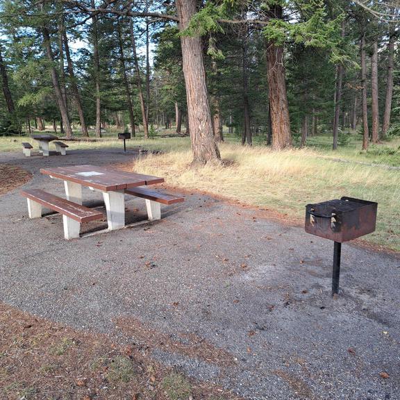 Picnic table and charcoal grill at Annette Lake