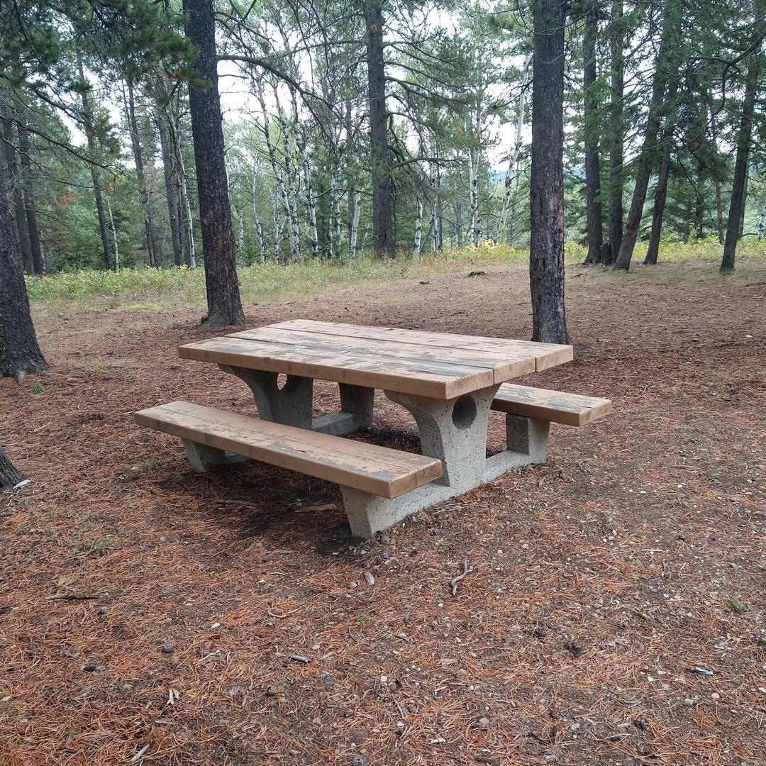 Picnic table at Ferguson Hill in Cypress Hills Provincial Park