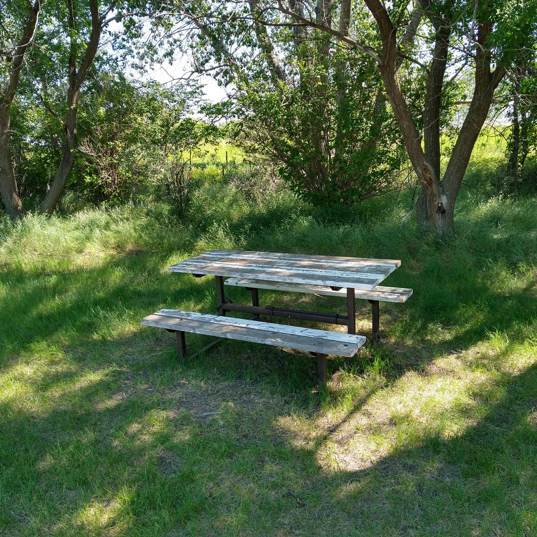 Picnic table at Webb Rest Area