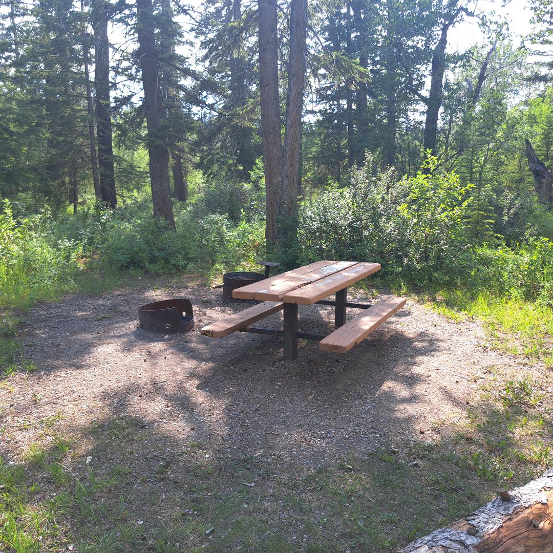 Shaded pcnic table with a fire pit to the south of the parking lot of Votier's Flats in Fish Creek Park