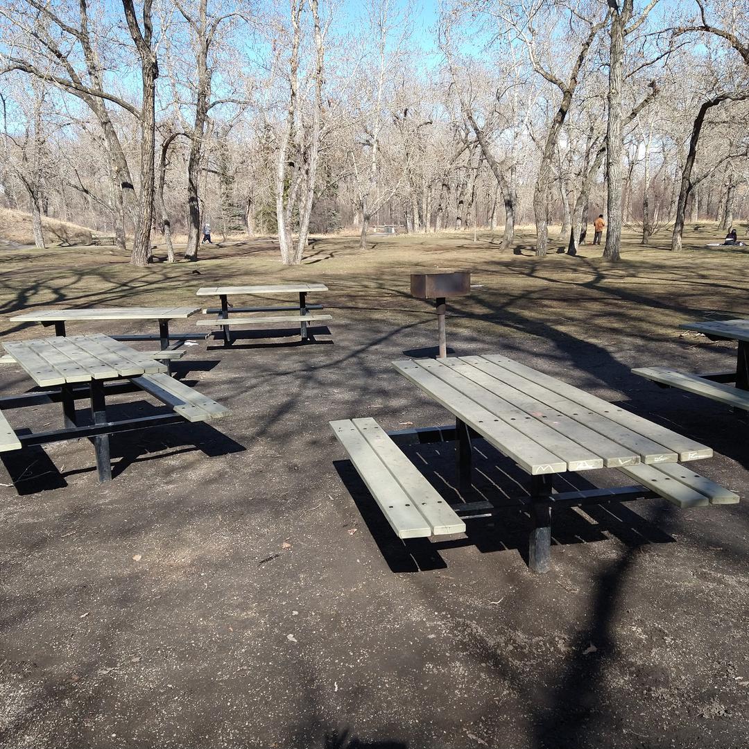 Picnic tables and charcoal grill at Pearce Estate Park in Calgary