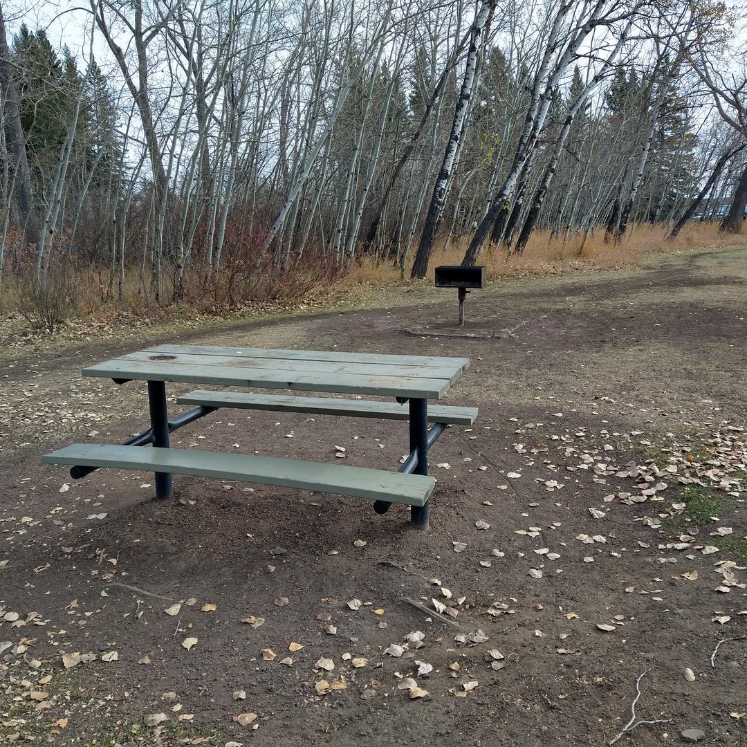 Picnic table and charcoal grill at North Glenmore Park
