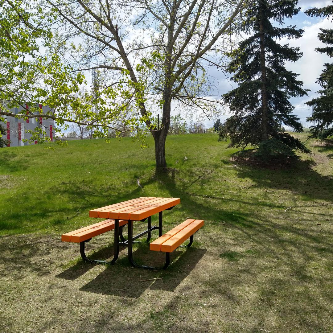 Picnic table at Pumphouse Park, with the volleyball court hidden in the background