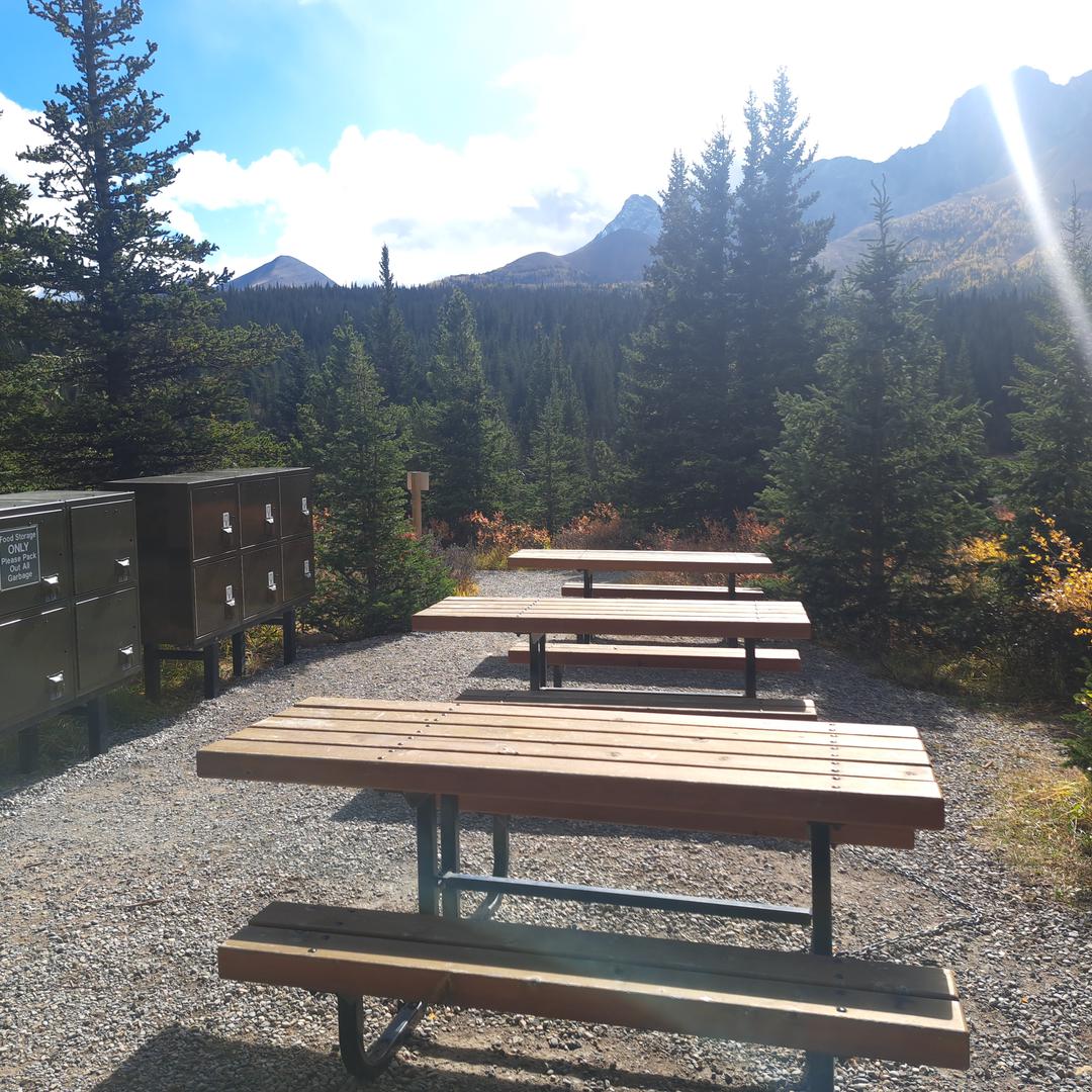 Picnic tables at Tombstone campground