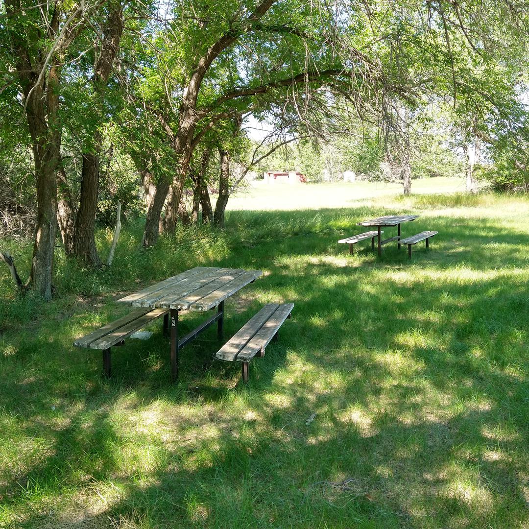 Picnic tables at Webb Rest Area