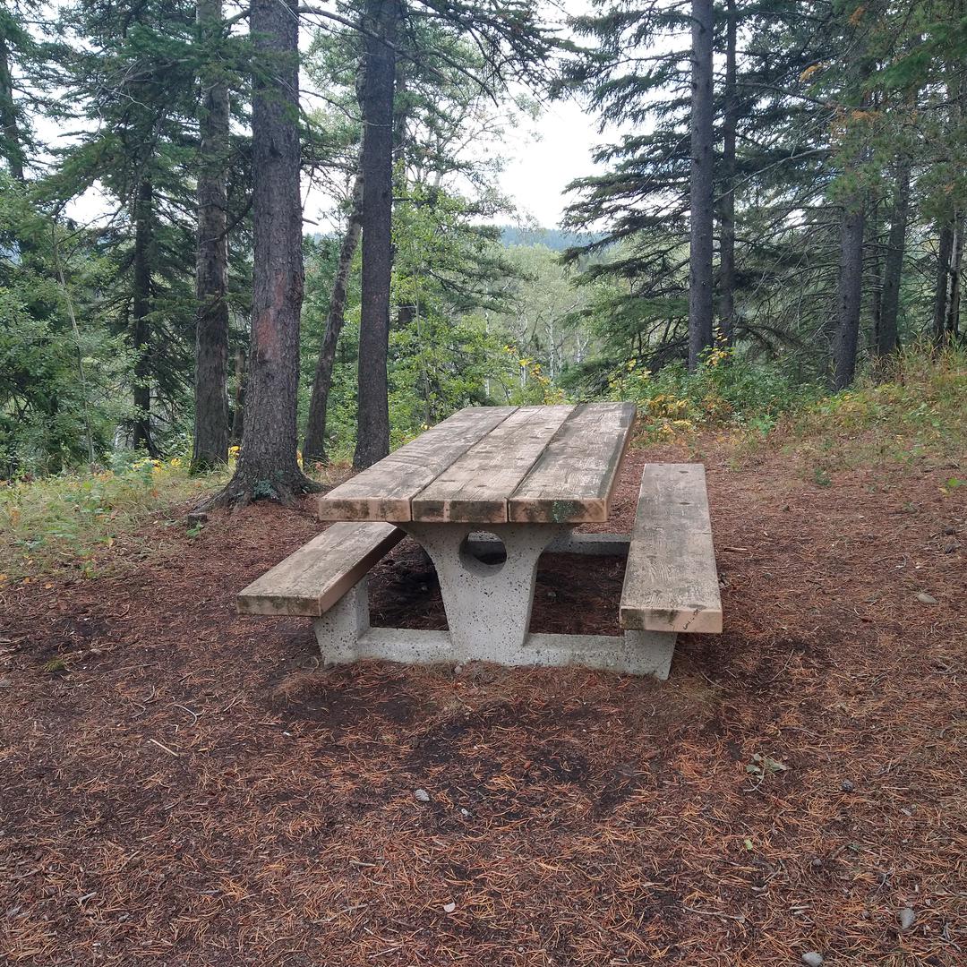 Picnic table at Ferguson Hill in Cypress Hills Provincial Park