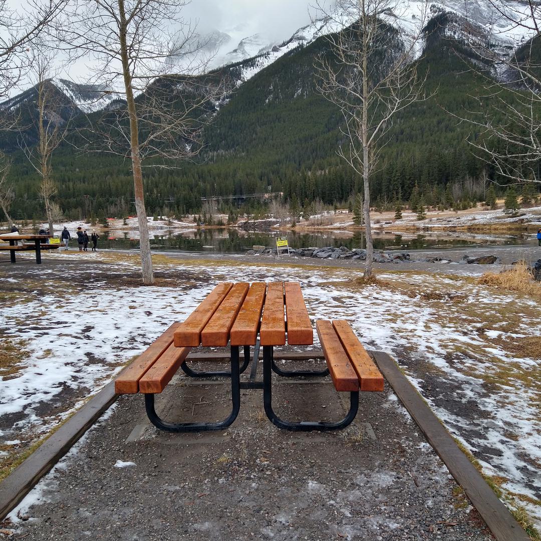 Picnic table at Quarry Lake in Canmore