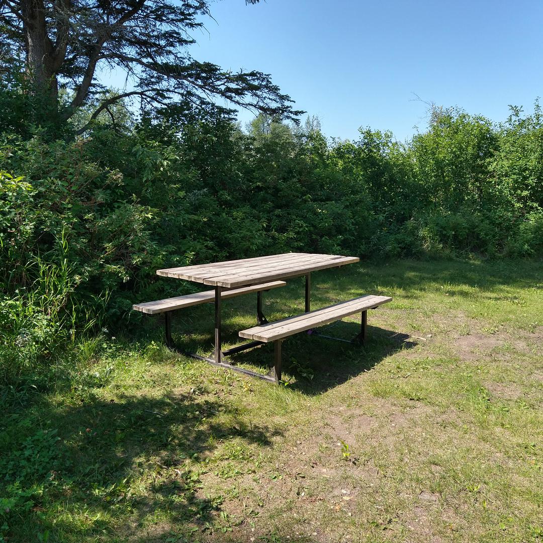 Picnic table at Freeman River Day Use Area